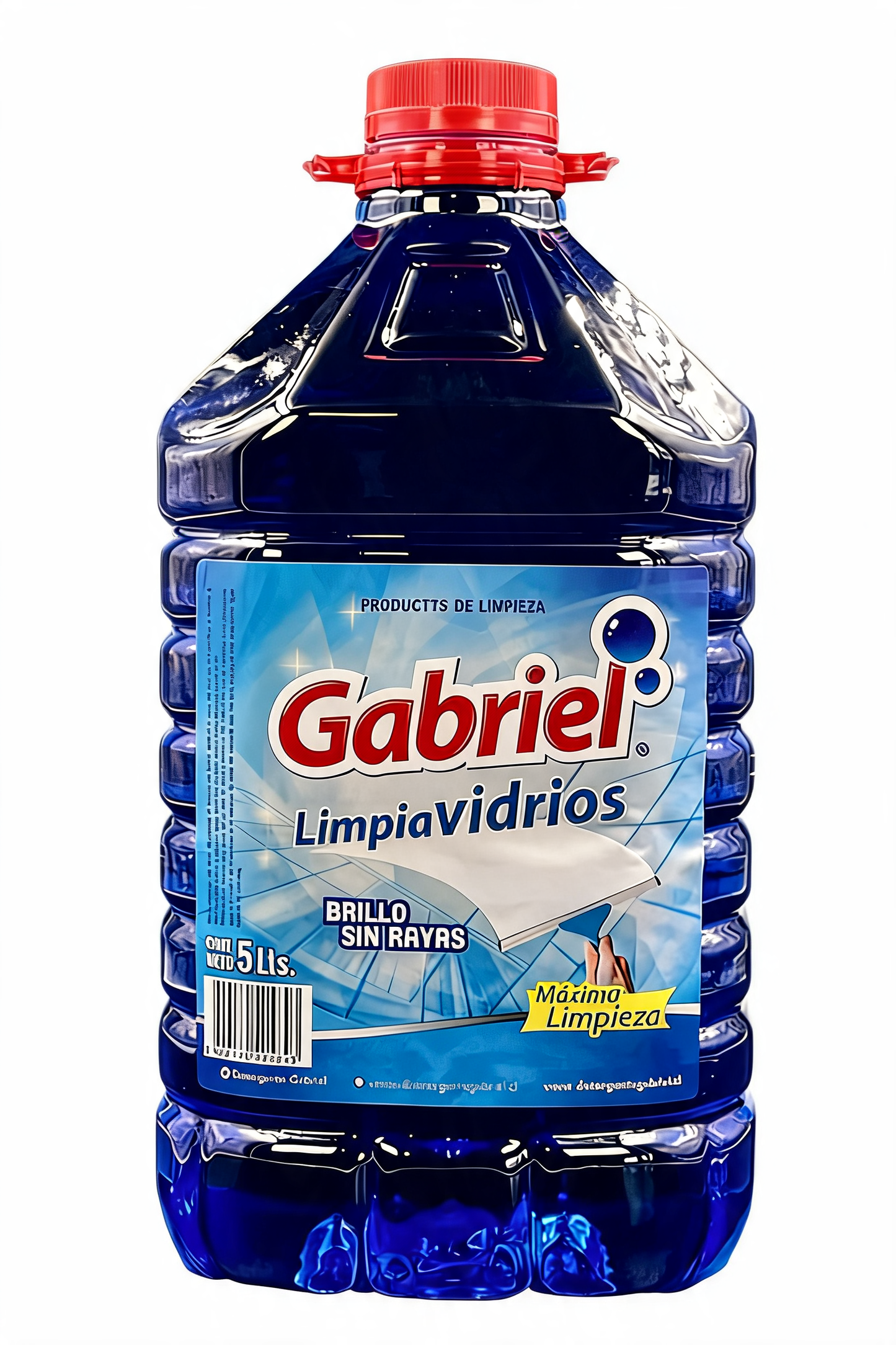 GABRIEL LIMPIAVIDRIOS 5LT