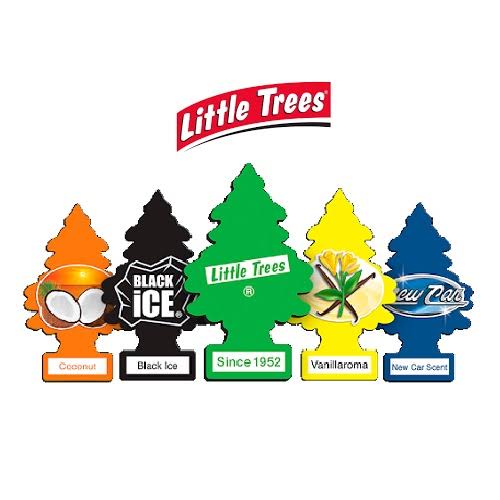 Pino aromatico Little Tree auto variedades