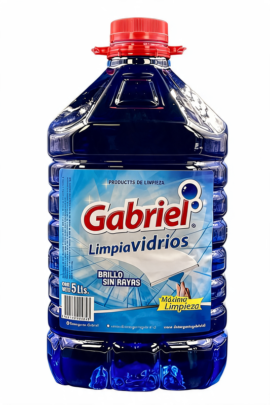 GABRIEL LIMPIAVIDRIOS 5LT